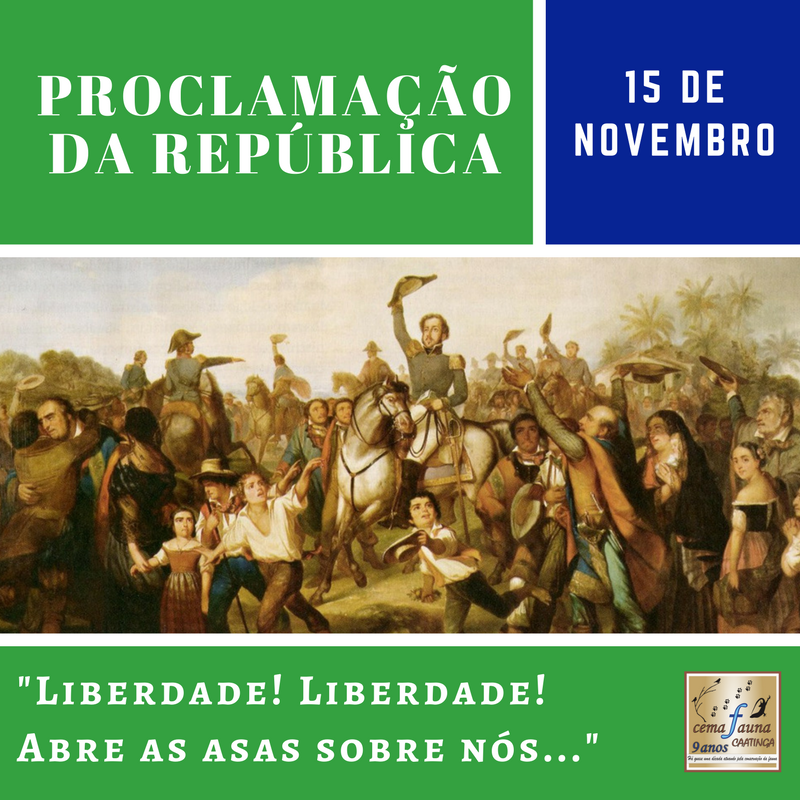 15 de novembro, Proclamação da República: por que historiadores